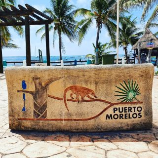 Nasenbären sind an der Riviera Maya allgegenwärtig. In Puerto Morelos habe ich bisher keinen gesehen. Und ihr?
.
.
.
#puertomorelosmexico #puertomorelos #nasenbär #rivieramaya #rivieramayamexico #instatravel #martinasreisewelt