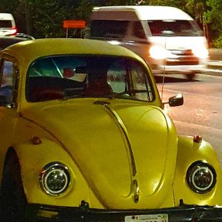 Den gelben Käfer finde ich richtig klasse.
.
.
.
#vwkäfer #gelb #cancun #cancunmexico