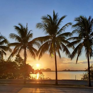 Sonnenuntergang an der Lagune Nichupté, Cancun. 
.
.
.
#sunset #cancun #cancunmexico #lagunanichupte #sonnenuntergang