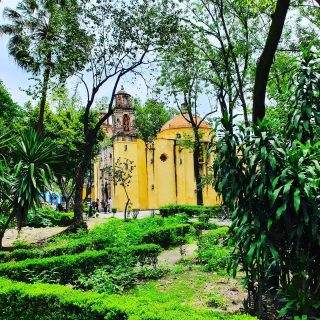 Plaza Conchita mit dieser alten Kirche ist ein wunderschöner Ort in Coyoacan mit schattigen Plätzen und einer alten Geschichte. Hier soll schon La Malinche ihre Spaziergänge gemacht und gebetet haben.
.
.
.
#coyoacan #plazaconchita #lamalinche #mexicocity #cdmx #mexikoreise #mexicocity #martinasreisewelt #instatravel